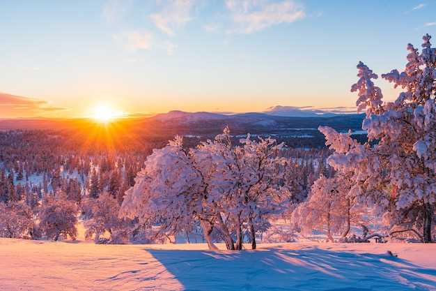 Культурные локации